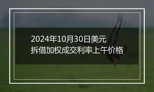 2024年10月30日美元拆借加权成交利率上午价格