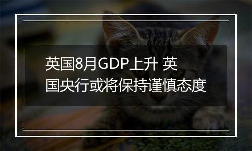 英国8月GDP上升 英国央行或将保持谨慎态度