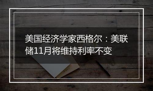 美国经济学家西格尔：美联储11月将维持利率不变