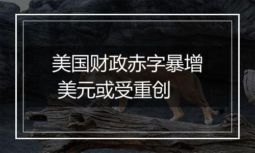 美国财政赤字暴增 美元或受重创