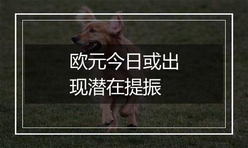 欧元今日或出现潜在提振