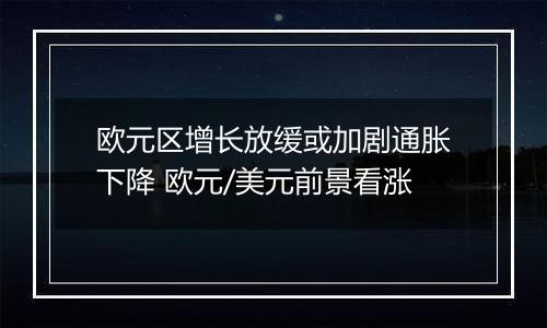 欧元区增长放缓或加剧通胀下降 欧元/美元前景看涨