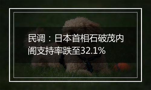 民调：日本首相石破茂内阁支持率跌至32.1%