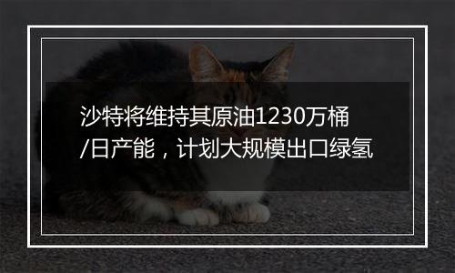 沙特将维持其原油1230万桶/日产能，计划大规模出口绿氢