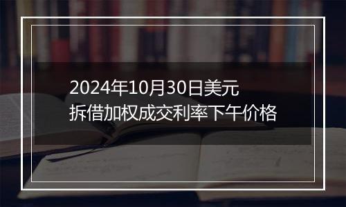 2024年10月30日美元拆借加权成交利率下午价格