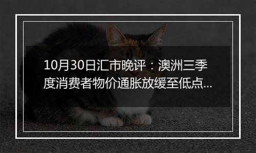 10月30日汇市晚评：澳洲三季度消费者物价通胀放缓至低点 澳元承受额外下行压力