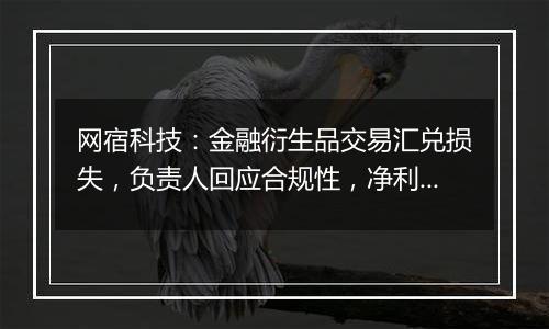 网宿科技：金融衍生品交易汇兑损失，负责人回应合规性，净利润增长22.99%