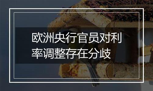 欧洲央行官员对利率调整存在分歧