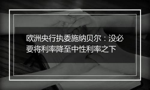 欧洲央行执委施纳贝尔：没必要将利率降至中性利率之下