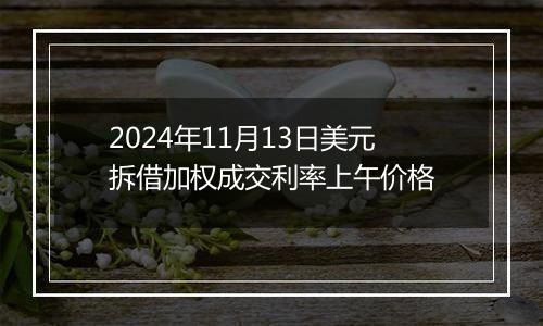 2024年11月13日美元拆借加权成交利率上午价格