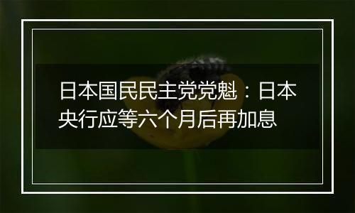 日本国民民主党党魁：日本央行应等六个月后再加息