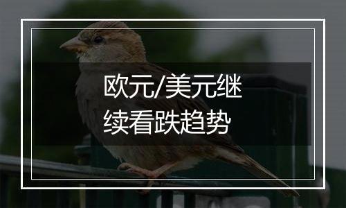 欧元/美元继续看跌趋势