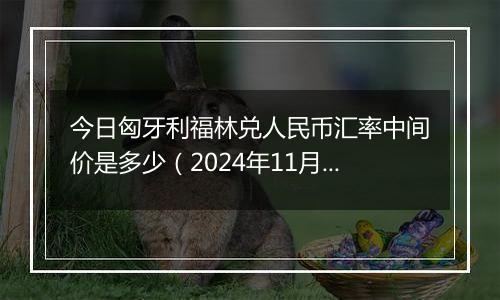 今日匈牙利福林兑人民币汇率中间价是多少（2024年11月13日）