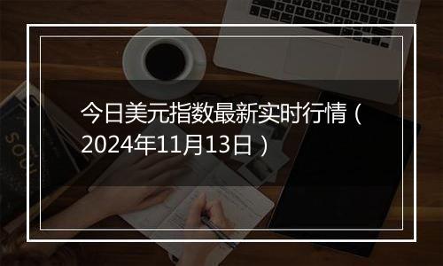 今日美元指数最新实时行情（2024年11月13日）