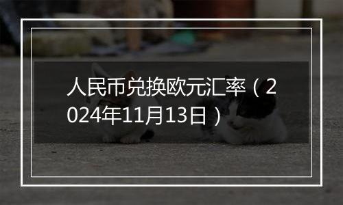 人民币兑换欧元汇率（2024年11月13日）