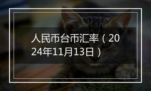 人民币台币汇率（2024年11月13日）