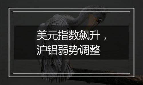 美元指数飙升，沪铝弱势调整