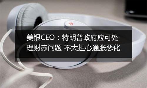 美银CEO：特朗普政府应可处理财赤问题 不大担心通胀恶化