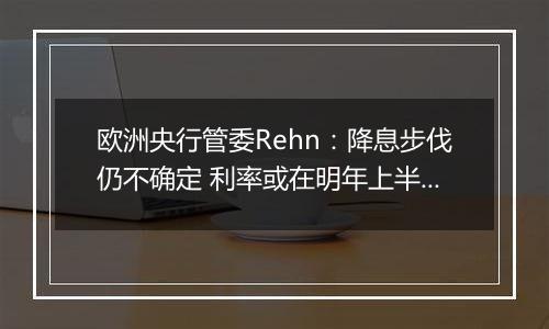 欧洲央行管委Rehn：降息步伐仍不确定 利率或在明年上半年达到中性水平