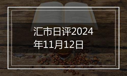 汇市日评2024年11月12日