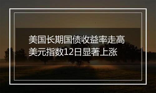 美国长期国债收益率走高 美元指数12日显著上涨