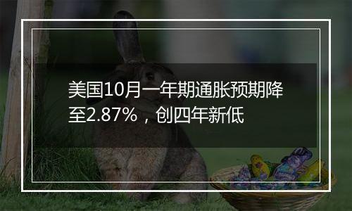 美国10月一年期通胀预期降至2.87%，创四年新低