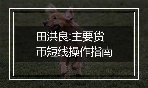 田洪良:主要货币短线操作指南