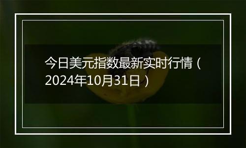 今日美元指数最新实时行情（2024年10月31日）