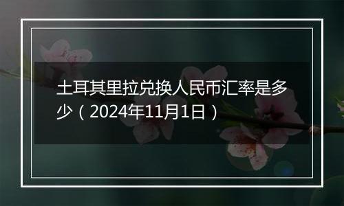 土耳其里拉兑换人民币汇率是多少（2024年11月1日）