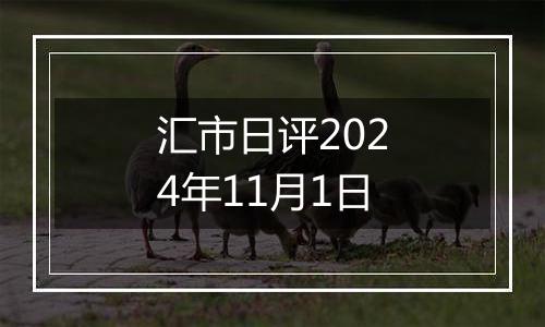 汇市日评2024年11月1日