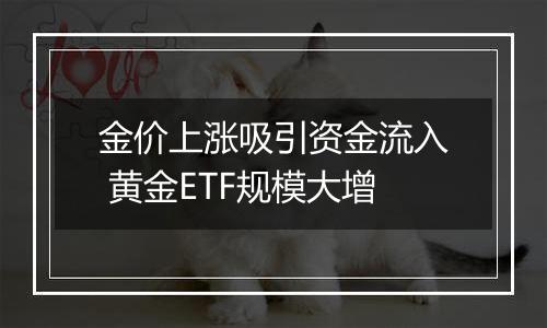 金价上涨吸引资金流入 黄金ETF规模大增