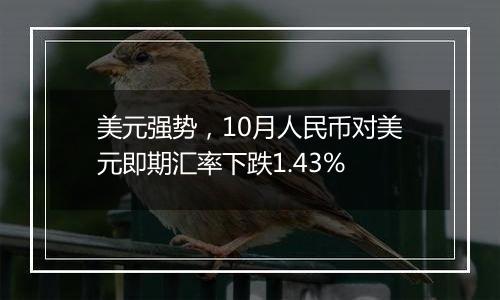 美元强势，10月人民币对美元即期汇率下跌1.43%