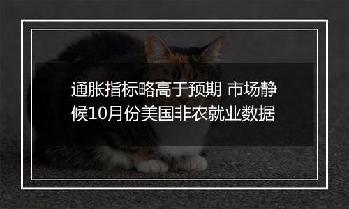 通胀指标略高于预期 市场静候10月份美国非农就业数据