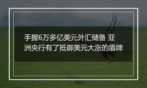 手握6万多亿美元外汇储备 亚洲央行有了抵御美元大涨的盾牌