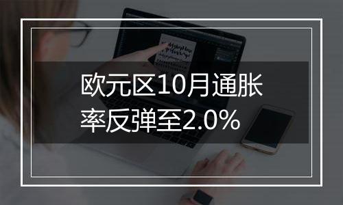 欧元区10月通胀率反弹至2.0%