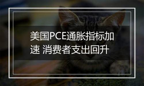 美国PCE通胀指标加速 消费者支出回升