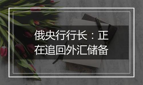 俄央行行长：正在追回外汇储备