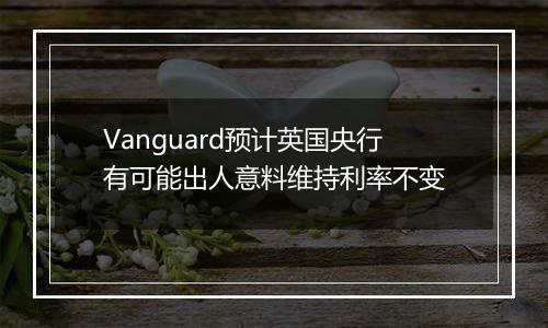 Vanguard预计英国央行有可能出人意料维持利率不变