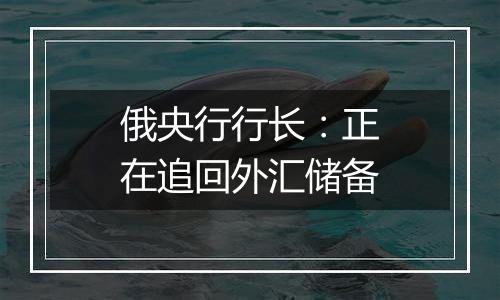 俄央行行长：正在追回外汇储备