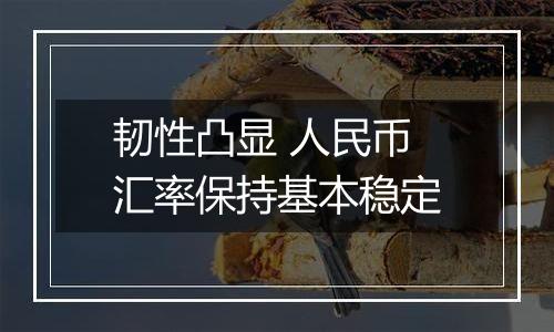 韧性凸显 人民币汇率保持基本稳定