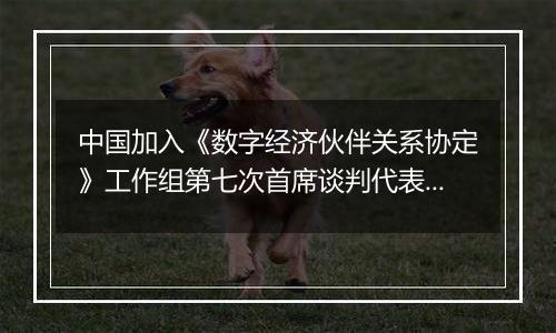 中国加入《数字经济伙伴关系协定》工作组第七次首席谈判代表会议在上海举行