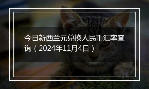 今日新西兰元兑换人民币汇率查询（2024年11月4日）