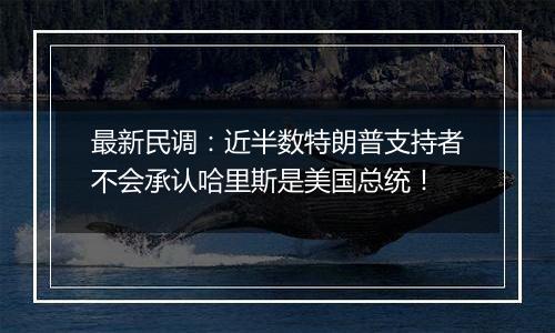 最新民调：近半数特朗普支持者不会承认哈里斯是美国总统！