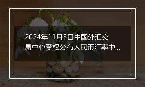 2024年11月5日中国外汇交易中心受权公布人民币汇率中间价公告