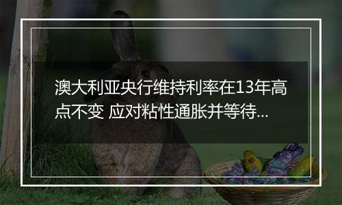 澳大利亚央行维持利率在13年高点不变 应对粘性通胀并等待美国大选