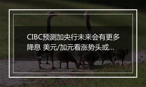 CIBC预测加央行未来会有更多降息 美元/加元看涨势头或开始转变