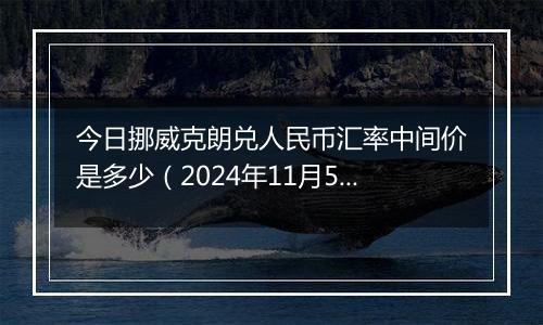 今日挪威克朗兑人民币汇率中间价是多少（2024年11月5日）