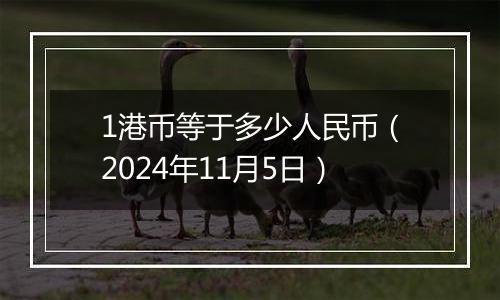 1港币等于多少人民币（2024年11月5日）