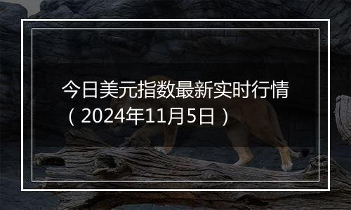 今日美元指数最新实时行情（2024年11月5日）