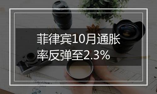 菲律宾10月通胀率反弹至2.3%